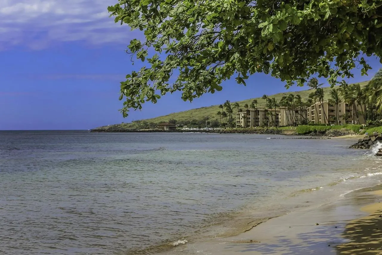 Maalaea Banyans 217 Condo Wailuku