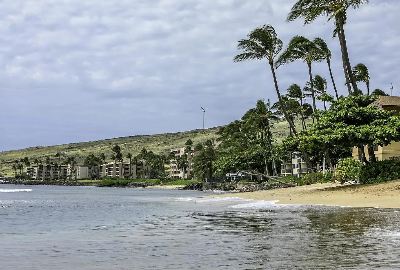 Maalaea Banyans 217 Condo Wailuku 0*,  United States