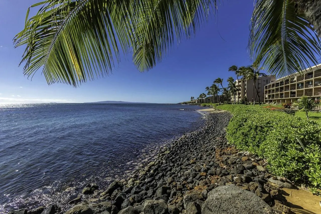 Maalaea Banyans 217 Condo Wailuku Apartment